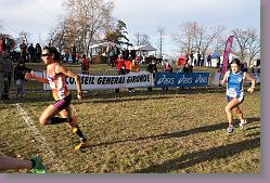 Begles 15.12.13 01 921 * 679 x 453 * (180KB)